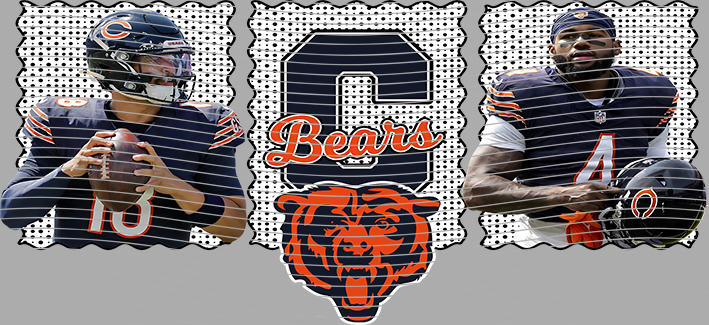 16oz team-NFL 3574